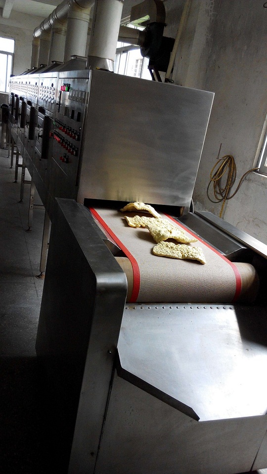 豆類膨化設(shè)備